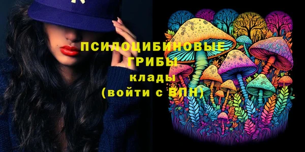 кокс Белокуриха