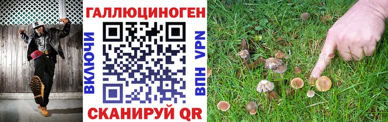 Псилоцибиновые грибы MAGIC MUSHROOMS KRAKEN tor Верхняя Пышма